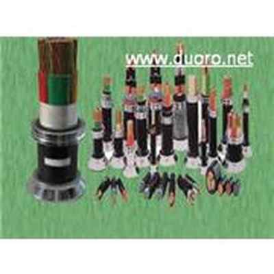 上海线缆厂 引领行业创新，守护城市脉动